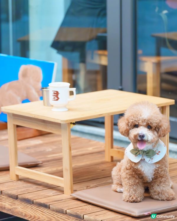 呢間日式cafe超好影📸！