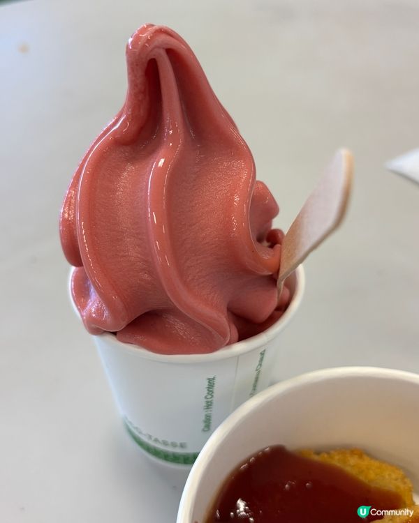 多倫多Ikea必食！🍓🍦士多啤梨雪糕超正😋