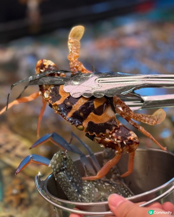千海水產放題二訪！🦀🦐 爆膏蟹超正！😋