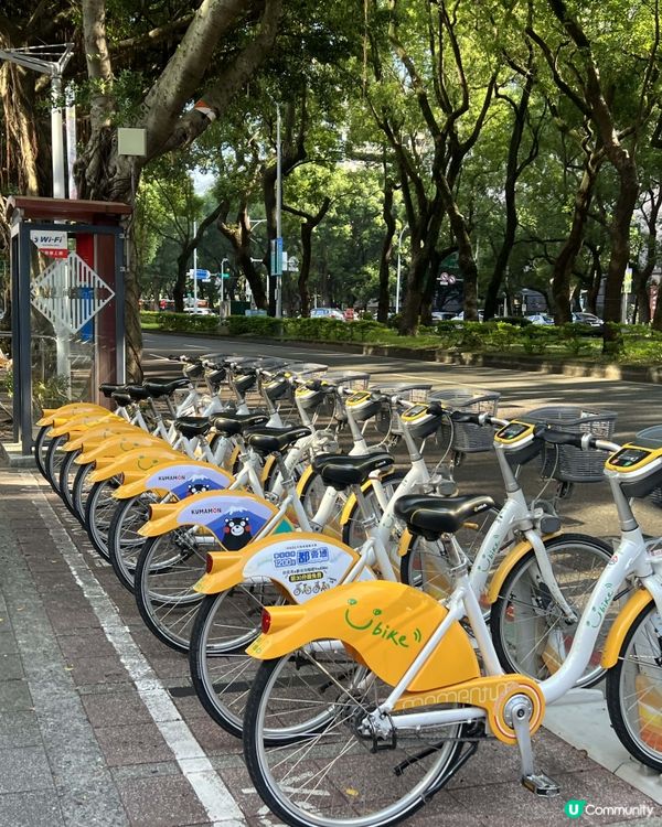 #踏入KOOZA奇幻之旅  #我想帶走成箱FULLBODY