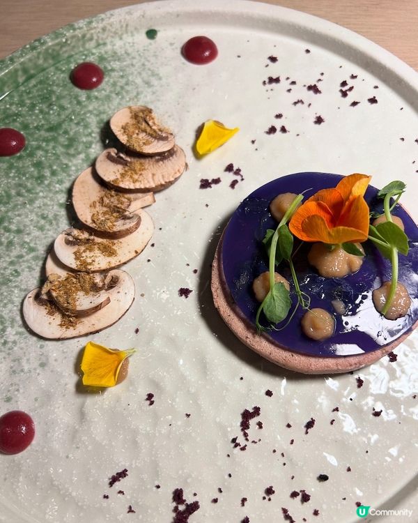 酒店都CP值爆登，41樓望維港景色