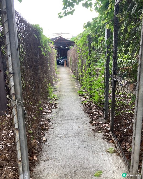 愛上元朗的原因