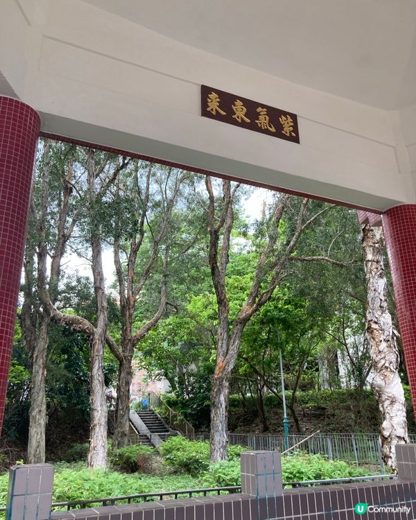 愛上元朗的原因