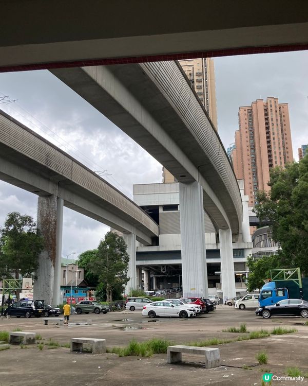 愛上元朗的原因