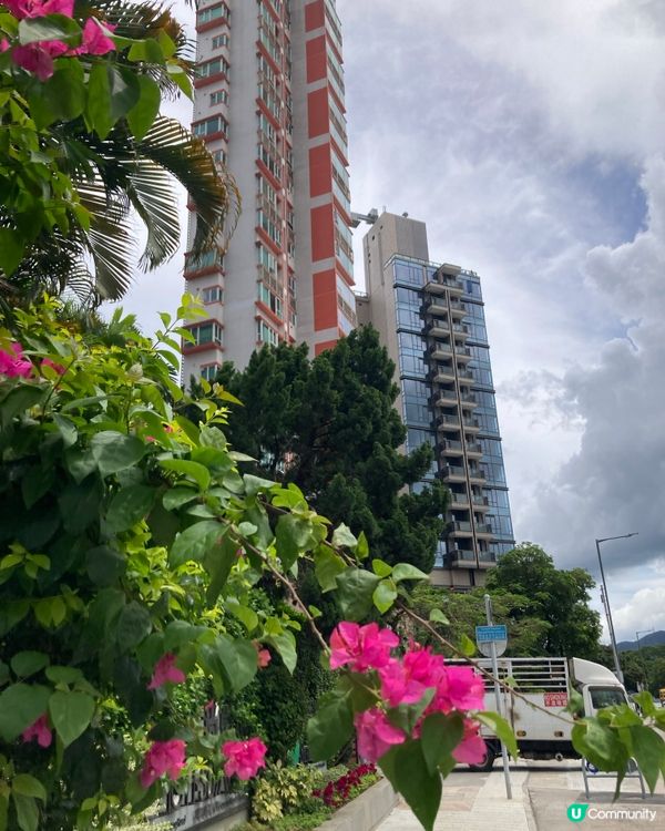 愛上元朗的原因