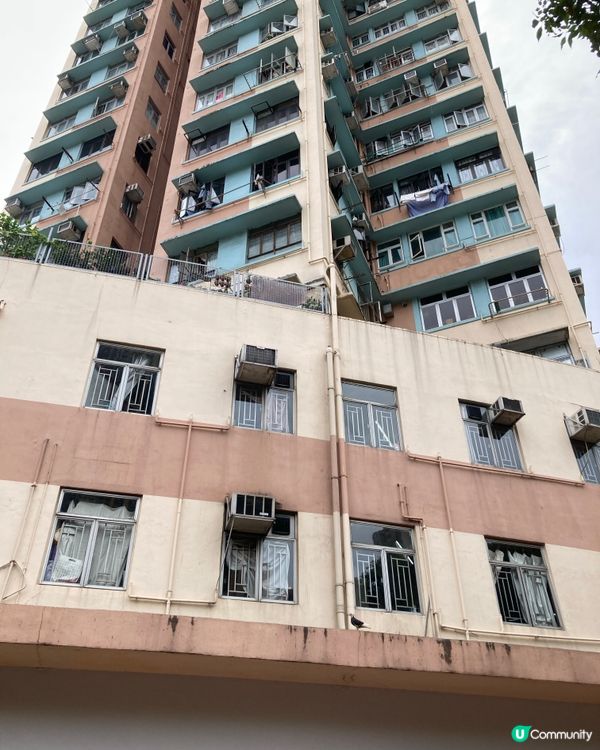 愛上元朗的原因