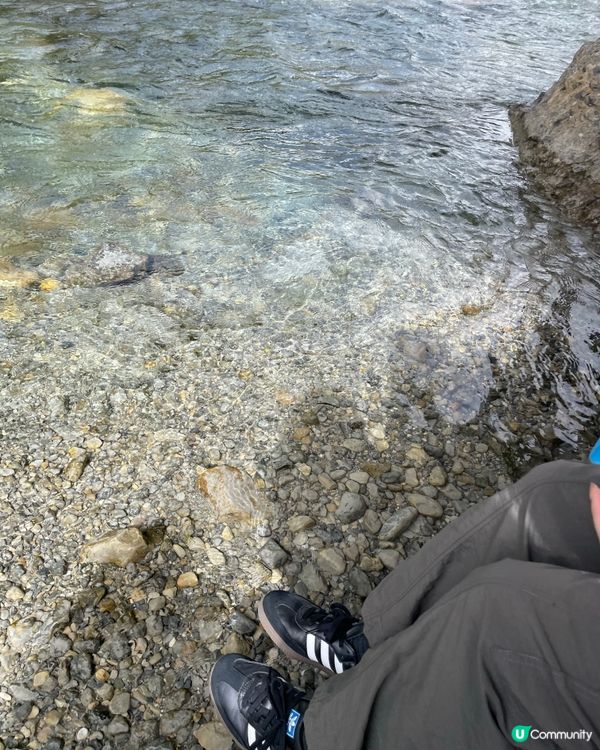 玉龍雪山攻略🏔️！打卡藍月谷🤩！