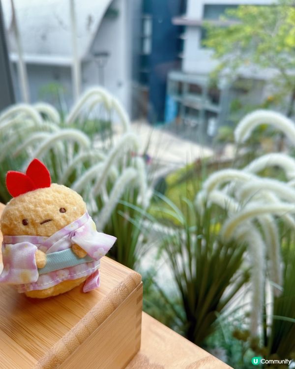 全日早餐好chill❤️