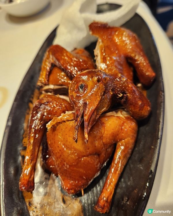 回味楓林🐣