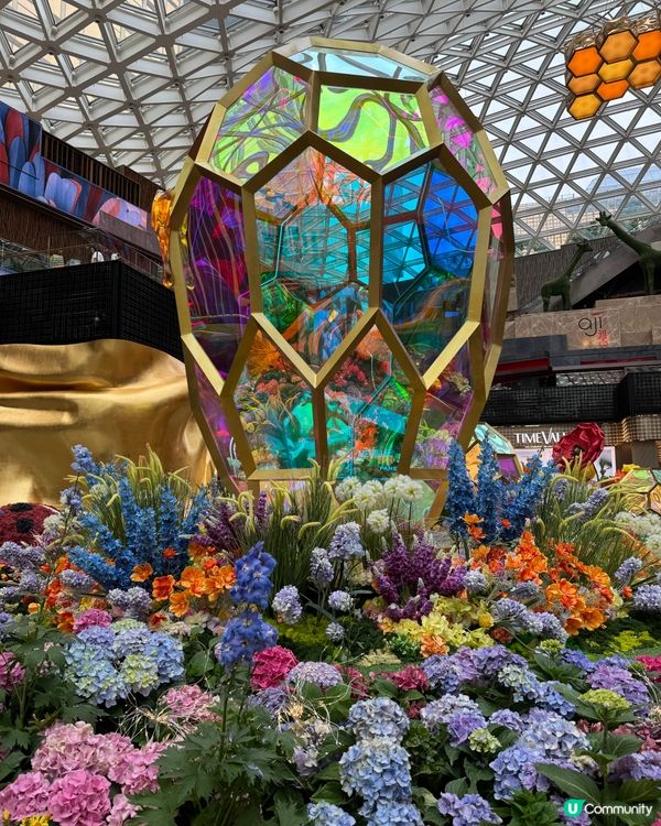 MGM鮮花打卡位🌼🌸🌺