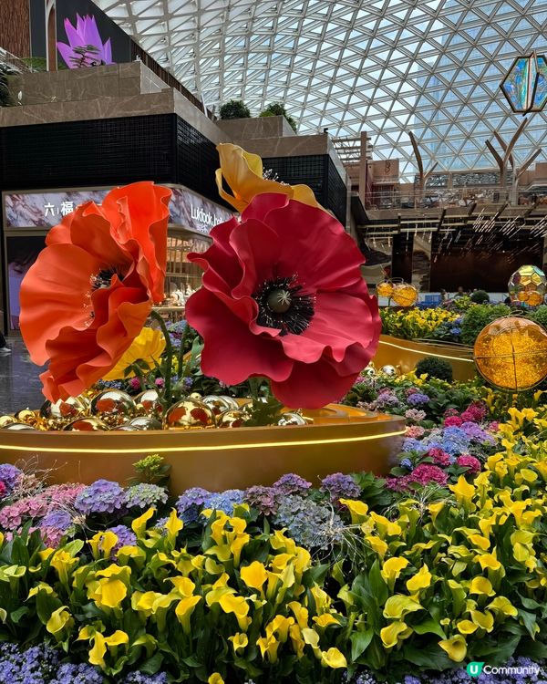 MGM鮮花打卡位🌼🌸🌺