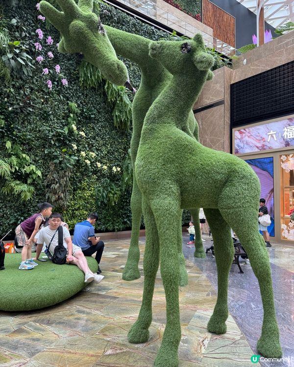 MGM鮮花打卡位🌼🌸🌺