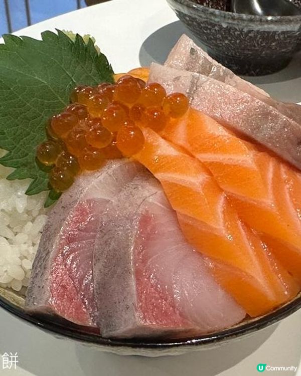 食在尖沙咀 | 渡邊屋 | 推介時令活蠔與高質刺身