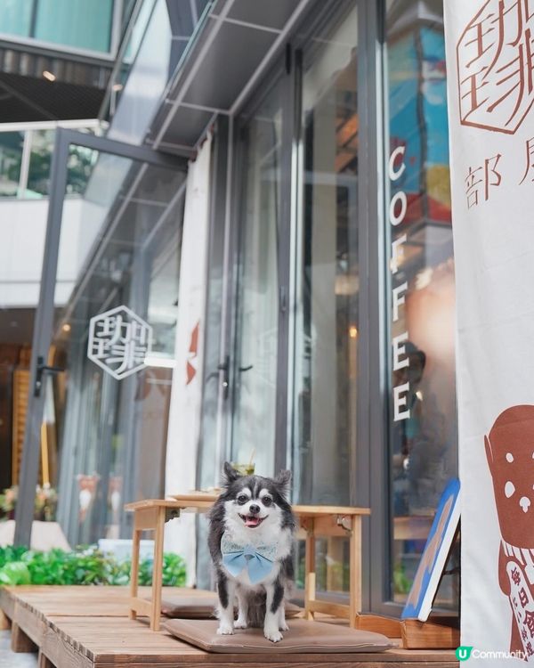 旺角新開Cafe~以簡約和式裝修為主調~