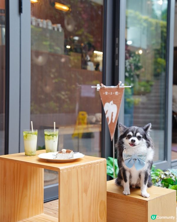 旺角新開Cafe~以簡約和式裝修為主調~