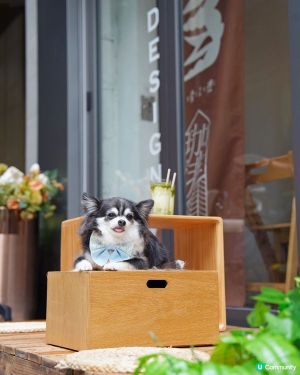 旺角新開Cafe~以簡約和式裝修為主調~