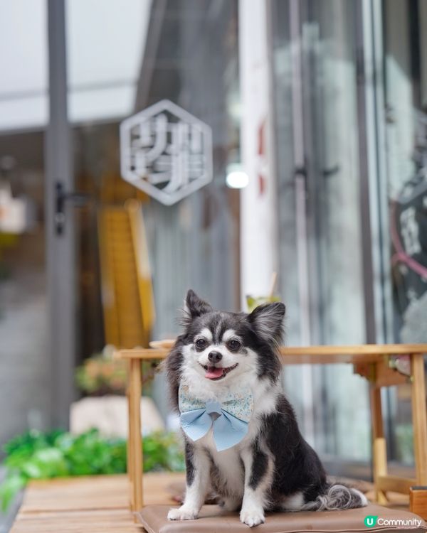 旺角新開Cafe~以簡約和式裝修為主調~