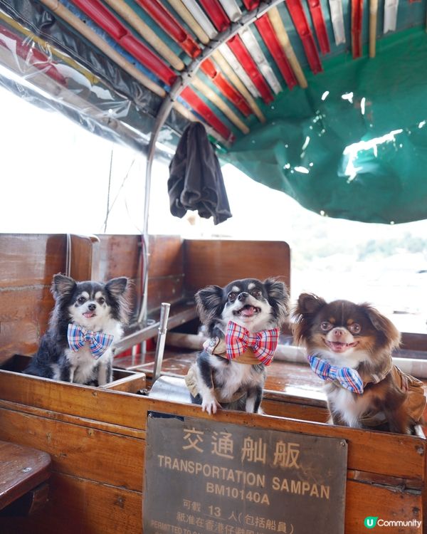 流記香港仔艇仔粉🍜