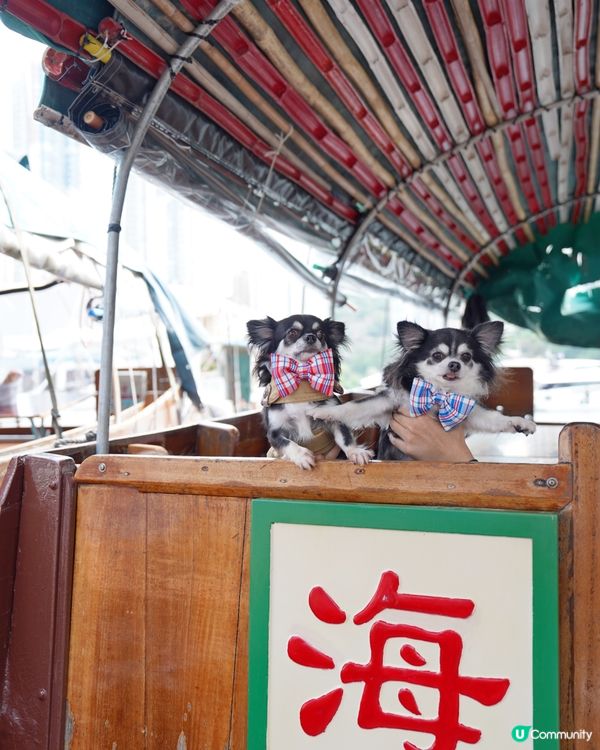 流記香港仔艇仔粉🍜