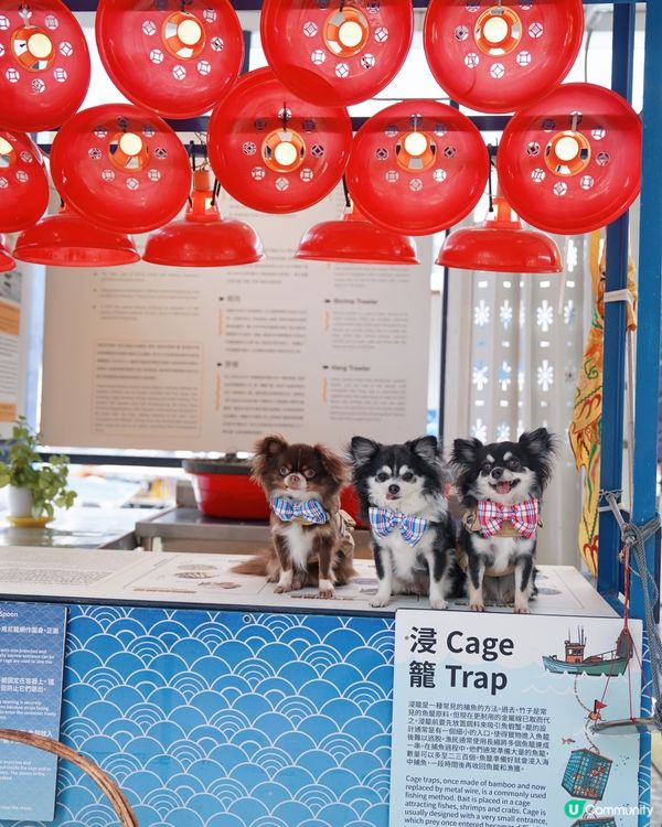 流記香港仔艇仔粉🍜