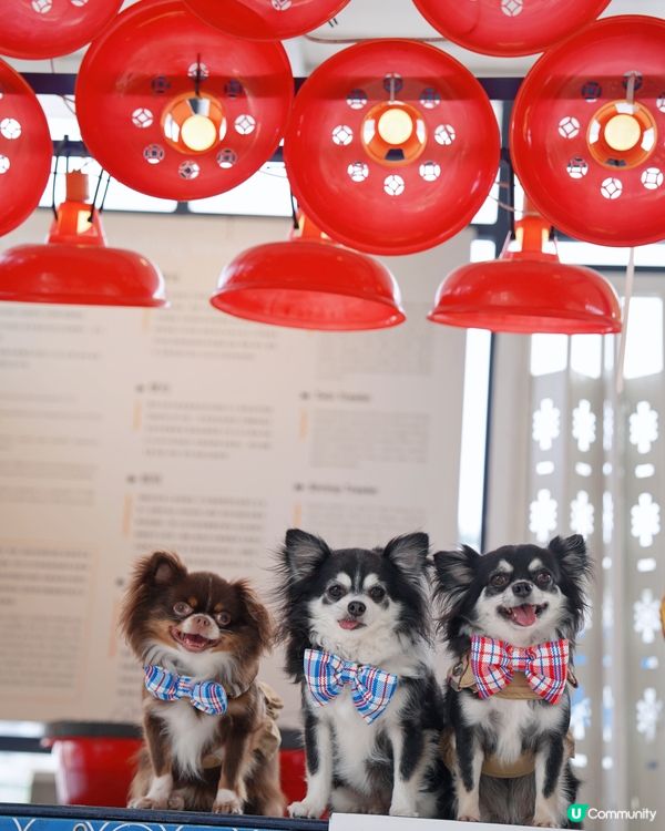 流記香港仔艇仔粉🍜