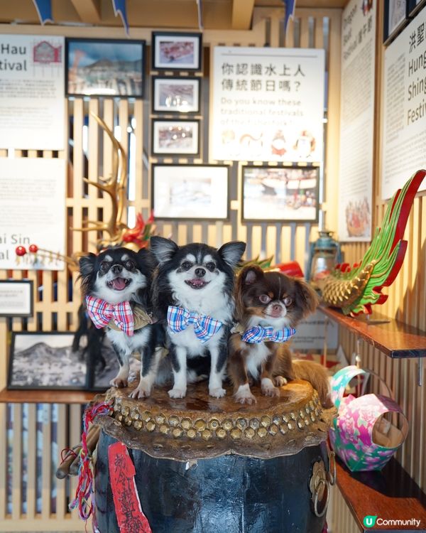 流記香港仔艇仔粉🍜