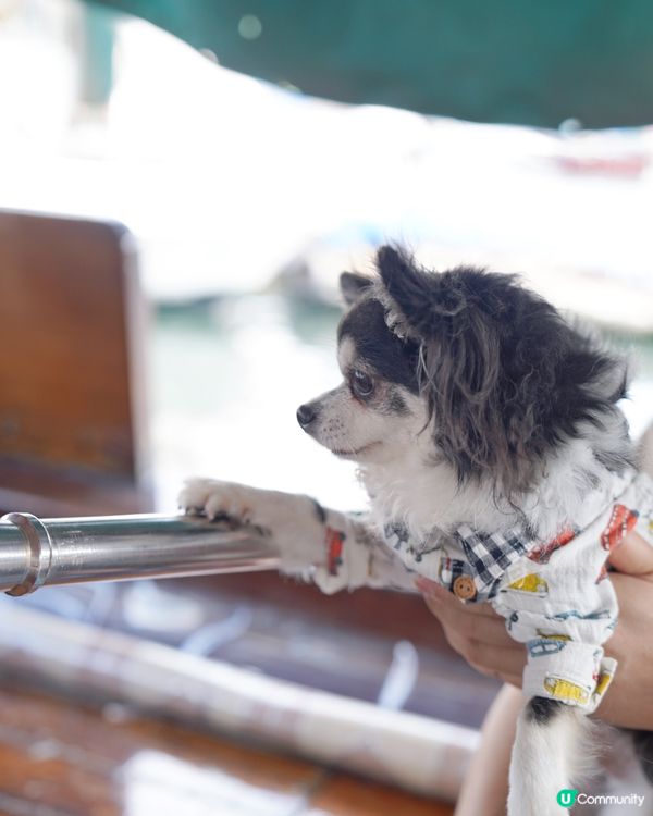 流記香港仔艇仔粉🍜