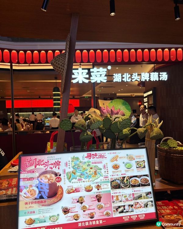 今日深圳食湖北菜🤤！藕湯必試！