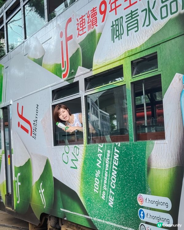 / 𝐈𝐅陪你夏天變得更「傻豬🐖」/