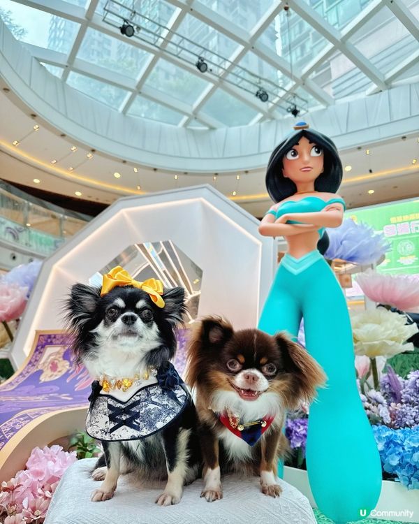 MCP「迪士尼公主仲夏花園」