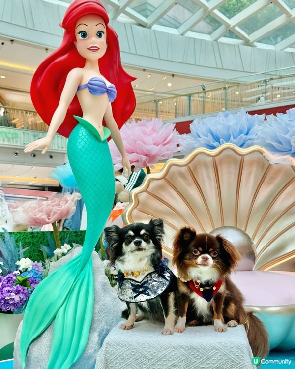 MCP「迪士尼公主仲夏花園」