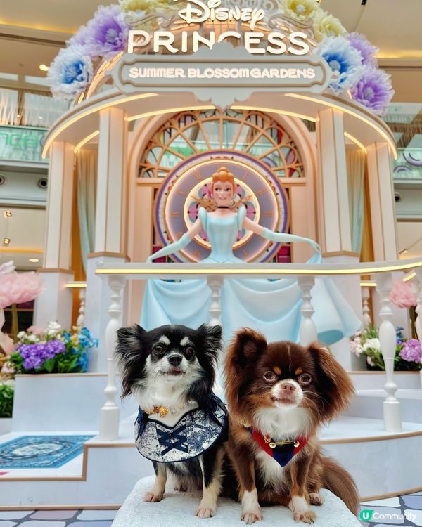 MCP「迪士尼公主仲夏花園」