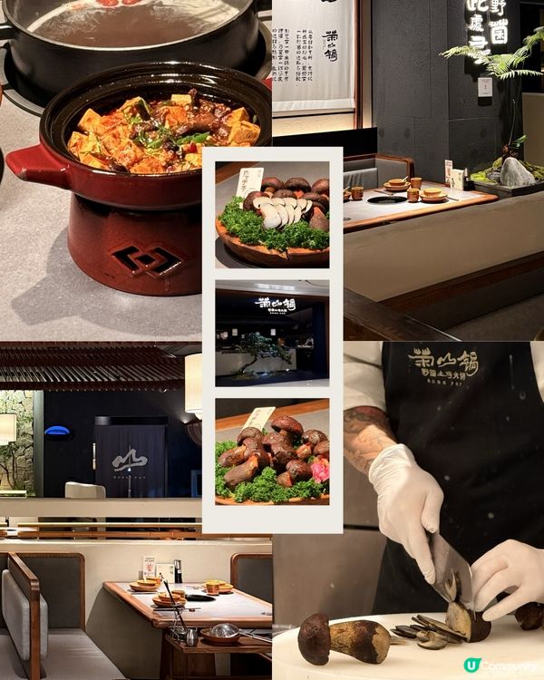 【去深圳高端餐飲天花板✨不時不食夏季最岩食“菌菇”】