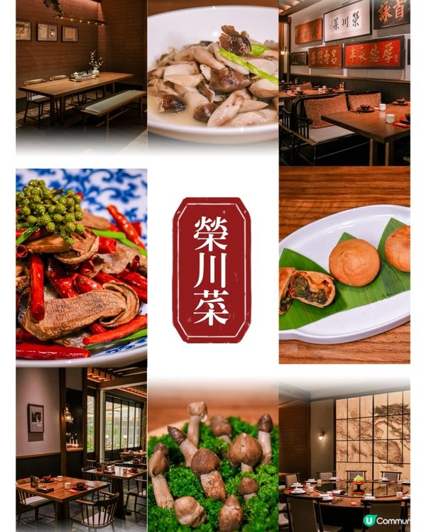 【去深圳高端餐飲天花板✨不時不食夏季最岩食“菌菇”】