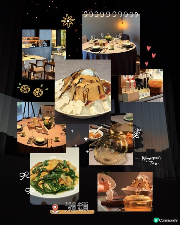 【去深圳高端餐飲天花板✨不時不食夏季最岩食“菌菇”】