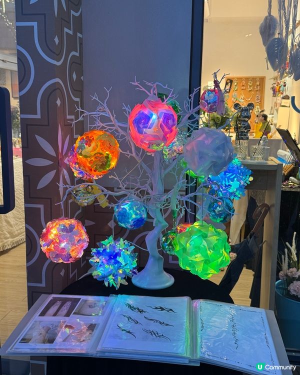 深圳最新景點k11 Ecoast & 太子灣花園villa🤩