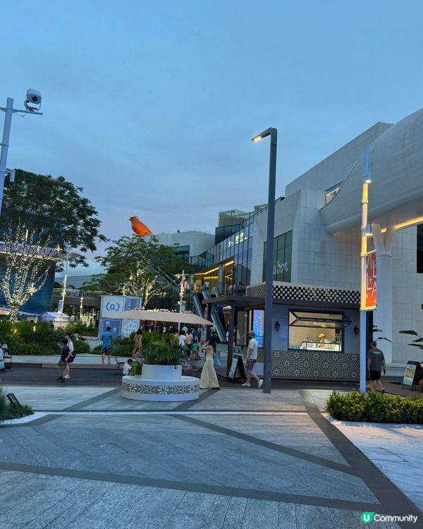 深圳最新景點k11 Ecoast & 太子灣花園villa🤩