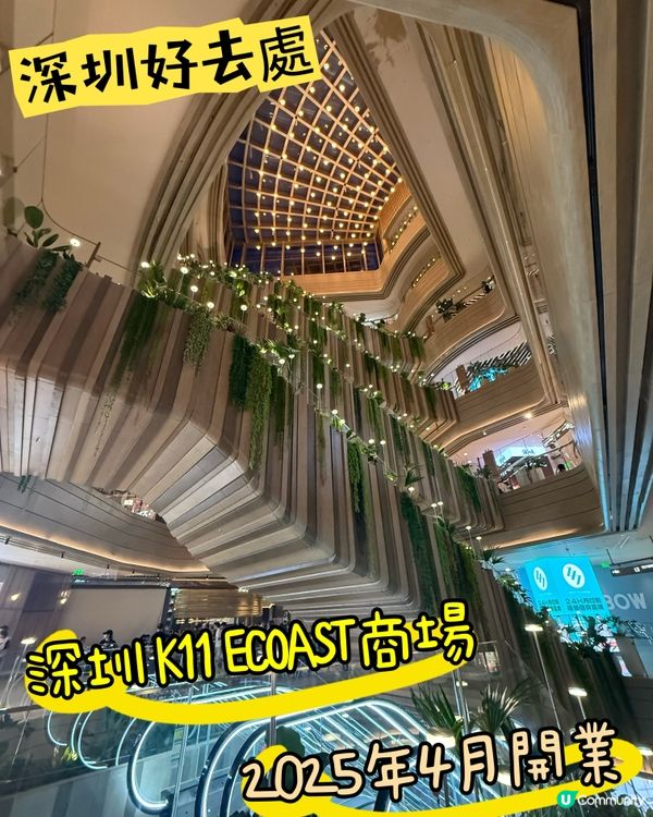 深圳最新景點k11 Ecoast & 太子灣花園villa🤩