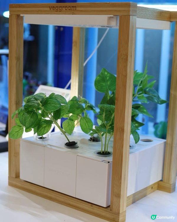 1.  香港設計勁嘢！家品展覽必去🤩 創意無限！