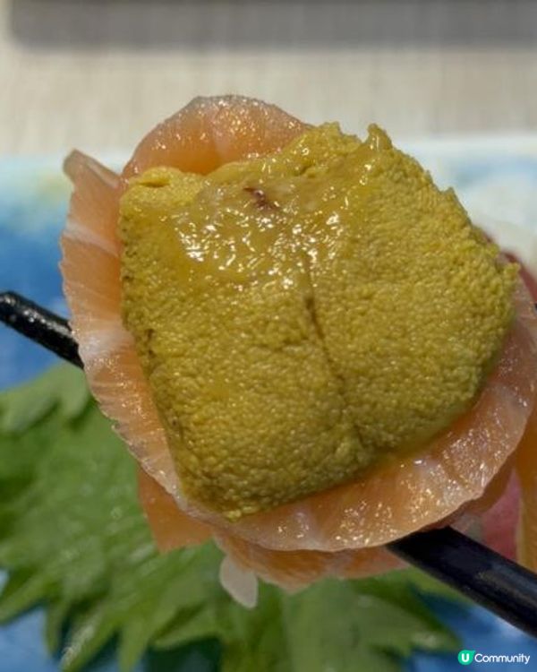 海膽任食放題！藍鰭吞拿魚、鮑魚超易回本！