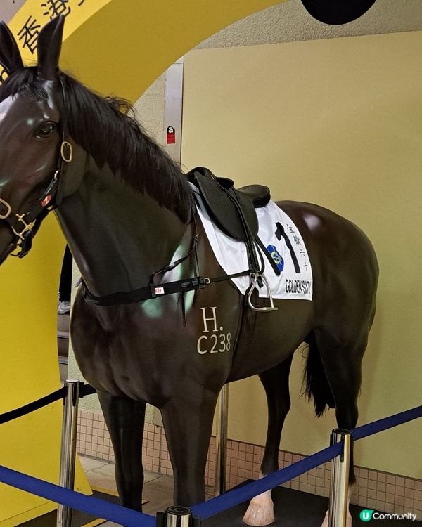 回歸日馬場一天遊