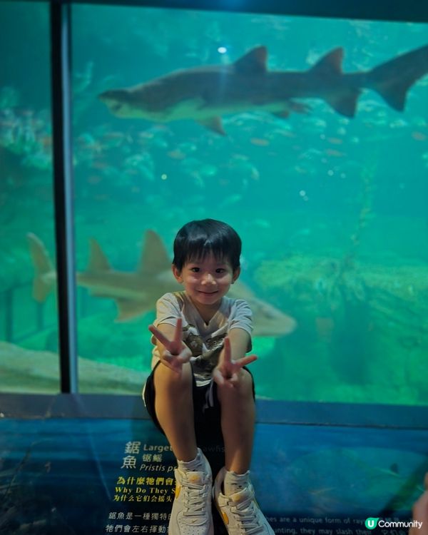 海洋公園之旅，香港人的後花園！