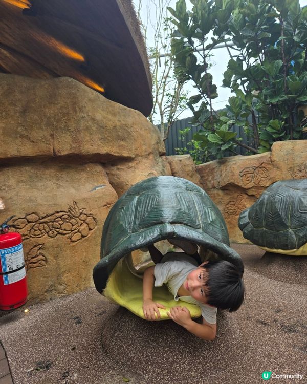 海洋公園之旅，香港人的後花園！