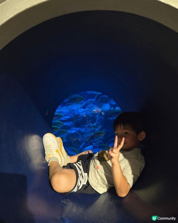 海洋公園之旅，香港人的後花園！