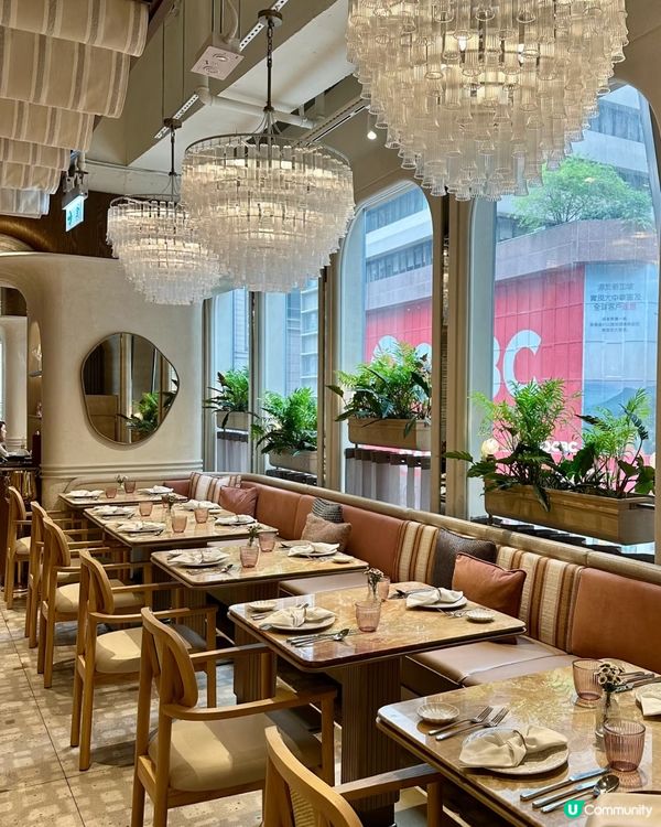 🍨🍨超特別鹹蛋黃gelato🍨🍨