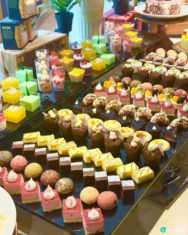 銅鑼灣美食之旅！🦞🦀🦪😋