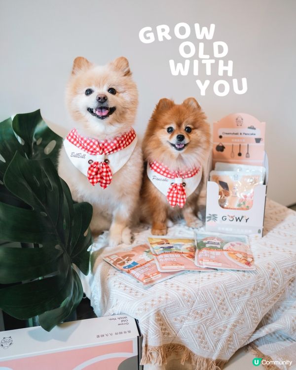 狗狗健康鮮食包新登場！本地品牌7折搶購