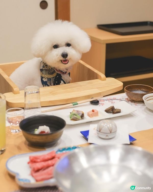 日本寵物酒店超正！一泊兩食🤤！