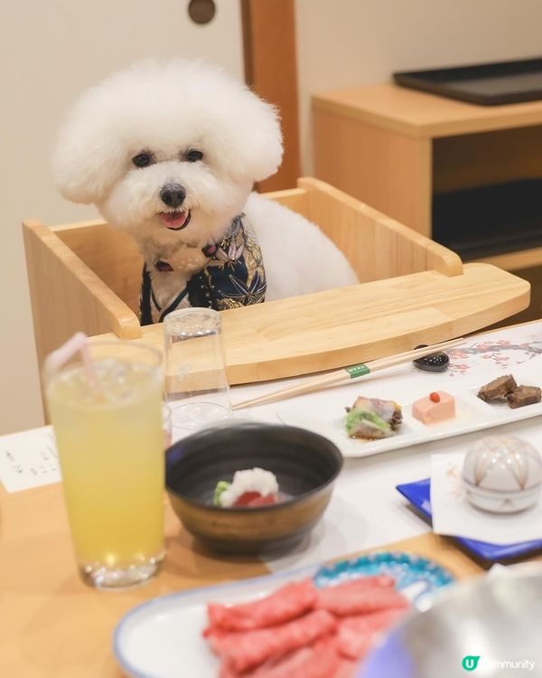 日本寵物酒店超正！一泊兩食🤤！