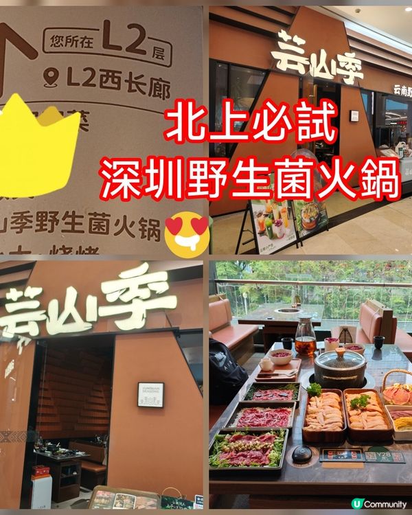 深圳野生菌火鍋🤤！退休都咁識食！😋